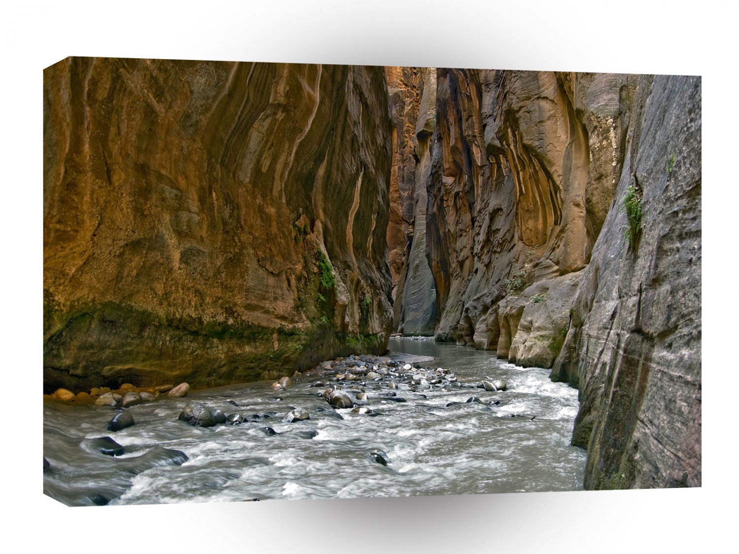 Rock Crazy Canyon A1 XLarge Canvas