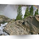Rock Rainbow Trees A1 XLarge Canvas