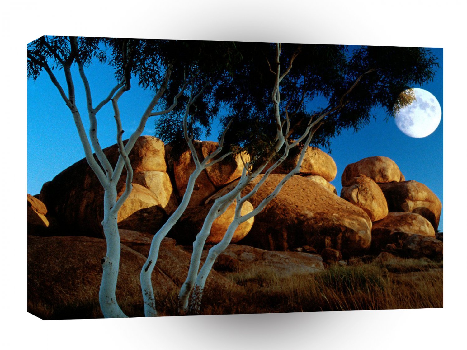 Rocks Land By The Light Moon A1 XLarge Canvas