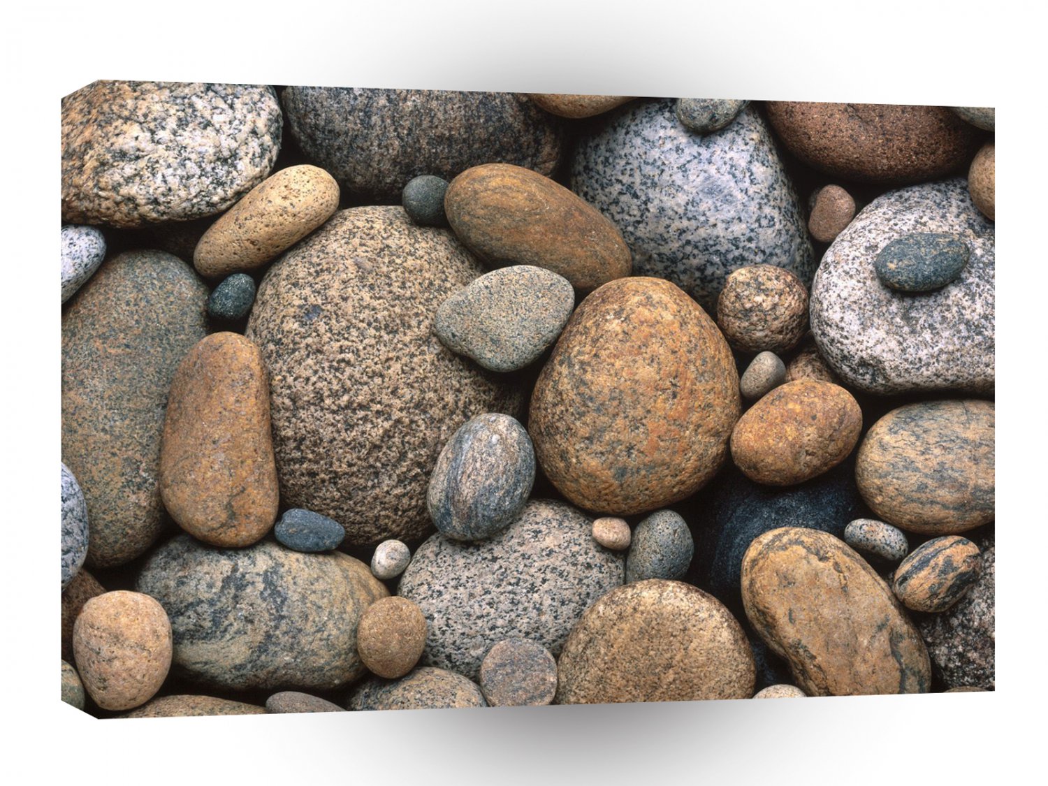 Rocks Rockin Out A1 XLarge Canvas
