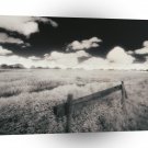 Scene Field Cheshire England A1 XLarge Canvas