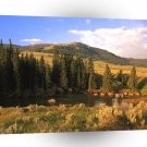 Scene Lamar Valley Yellowstone Wyoming A1 XLarge Canvas