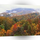 Scene Lush Landscape Appalachian Carolina A1 XLarge Canvas