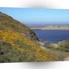 Scene Point Reyes Seashore California A1 XLarge Canvas