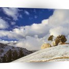 Scene Spring Snow Yosemite California A1 XLarge Canvas
