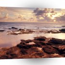 Sea Serene Shore A1 XLarge Canvas