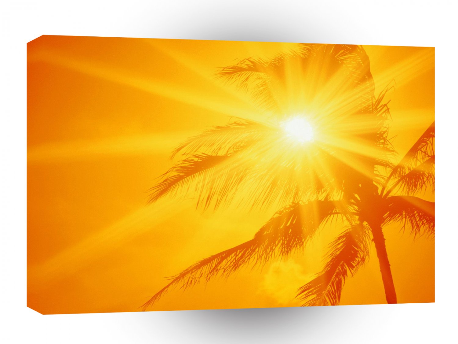 Sky Ala Moana Beach Oahu Hawaii A1 XLarge Canvas