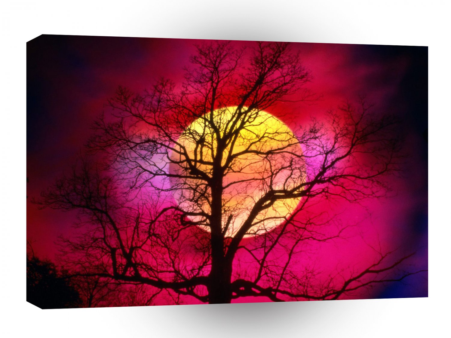 Sky Alive With Color A1 XLarge Canvas