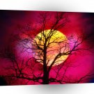 Sky Alive With Color A1 XLarge Canvas