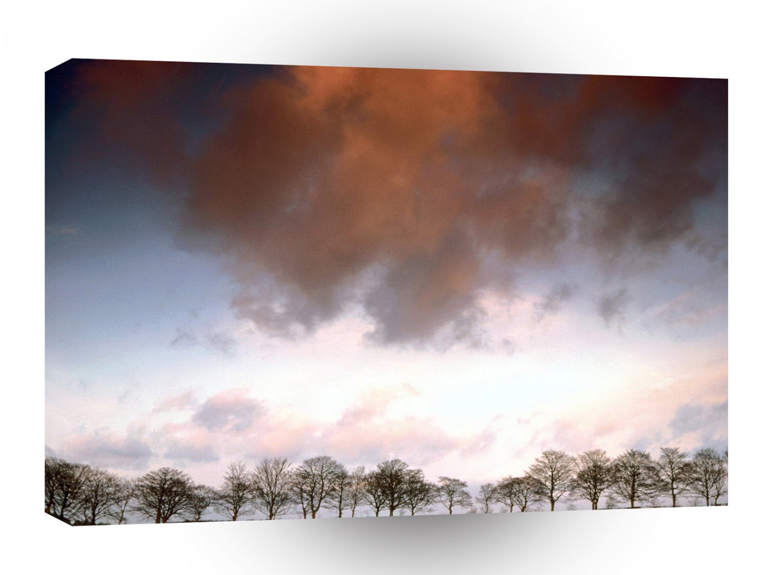 Sky Auburn A1 XLarge Canvas