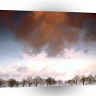 Sky Auburn A1 XLarge Canvas