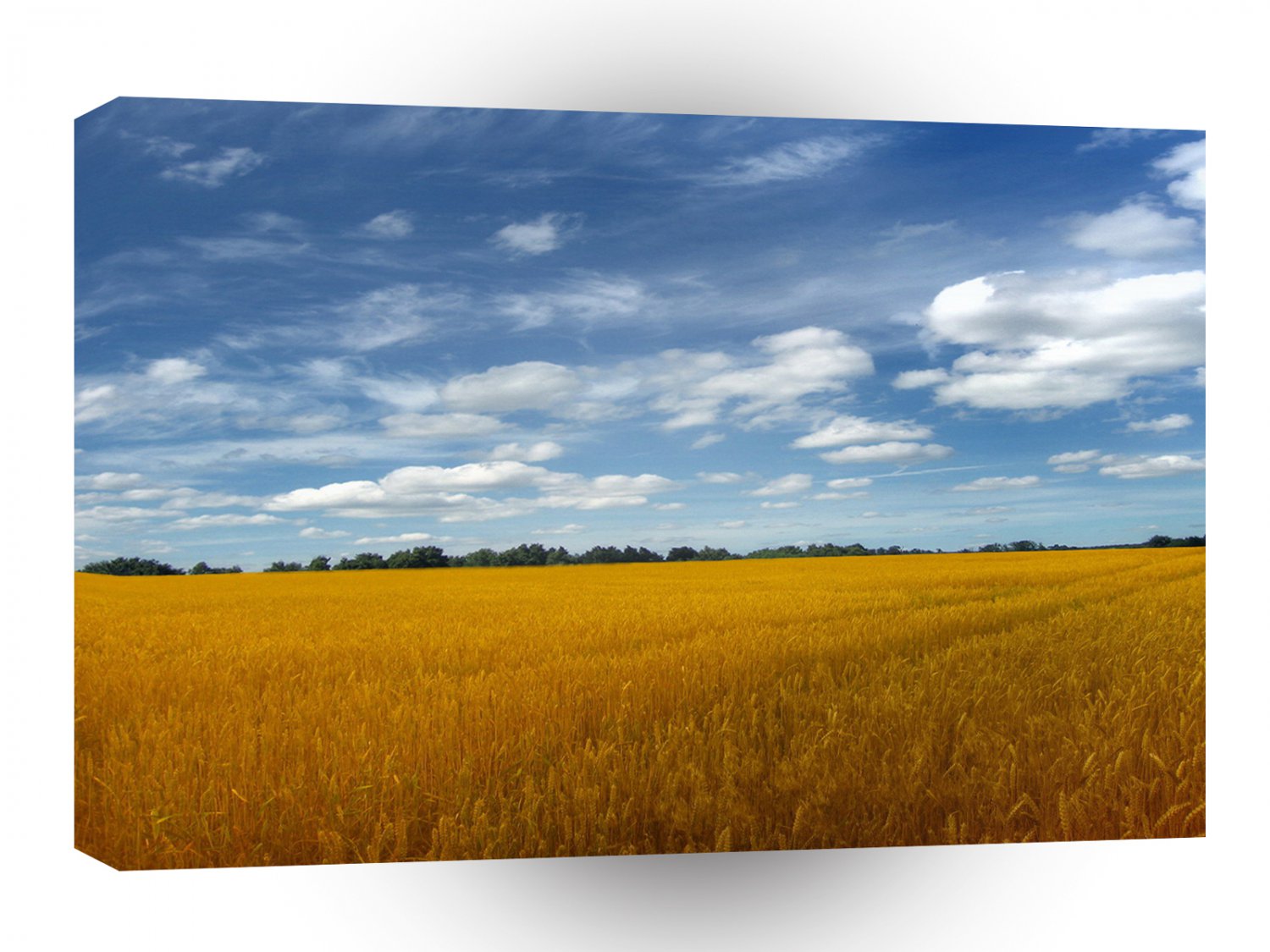 Sky Beat The Weather A1 XLarge Canvas