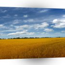 Sky Beat The Weather A1 XLarge Canvas