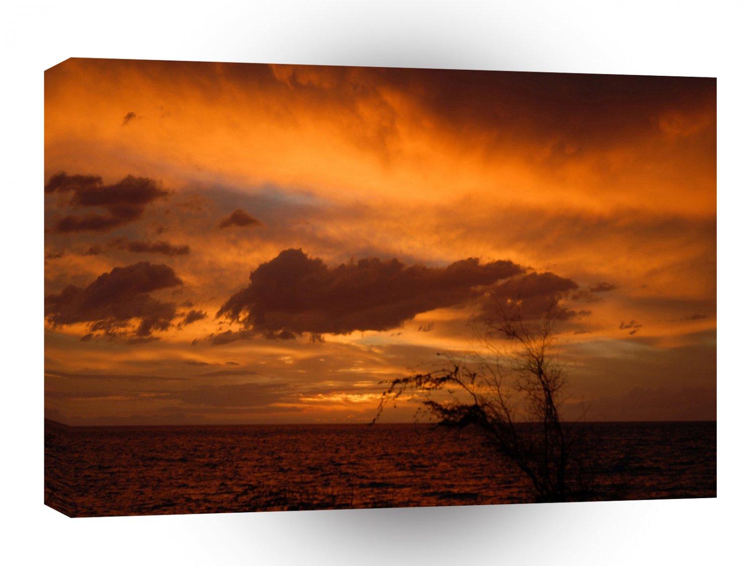 Sky Desert A1 XLarge Canvas