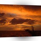Sky Desert A1 XLarge Canvas