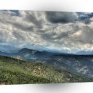 Sky Forrest Of Many A1 XLarge Canvas