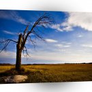 Sky Frozen In Time A1 XLarge Canvas