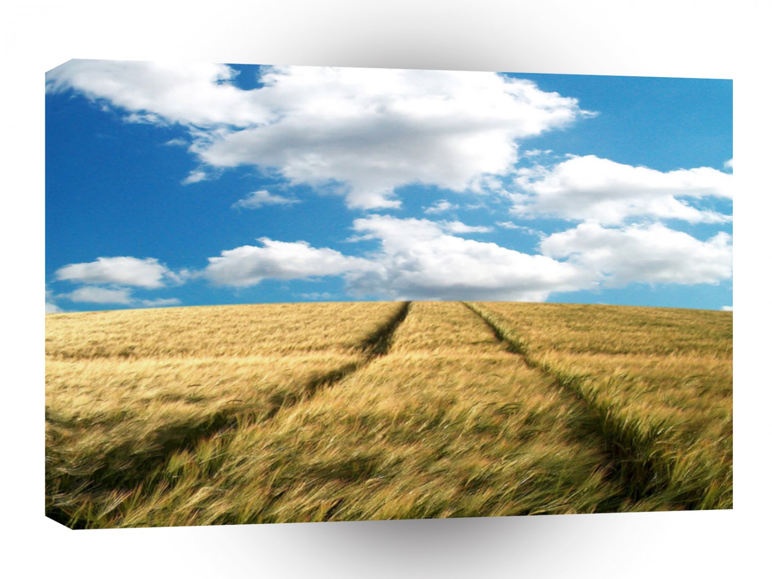 Sky Grass Field Skies A1 XLarge Canvas