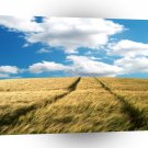 Sky Grass Field Skies A1 XLarge Canvas