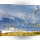 Sky Grass Rainstorm A1 XLarge Canvas