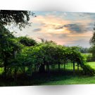 Sky Green Garden A1 XLarge Canvas