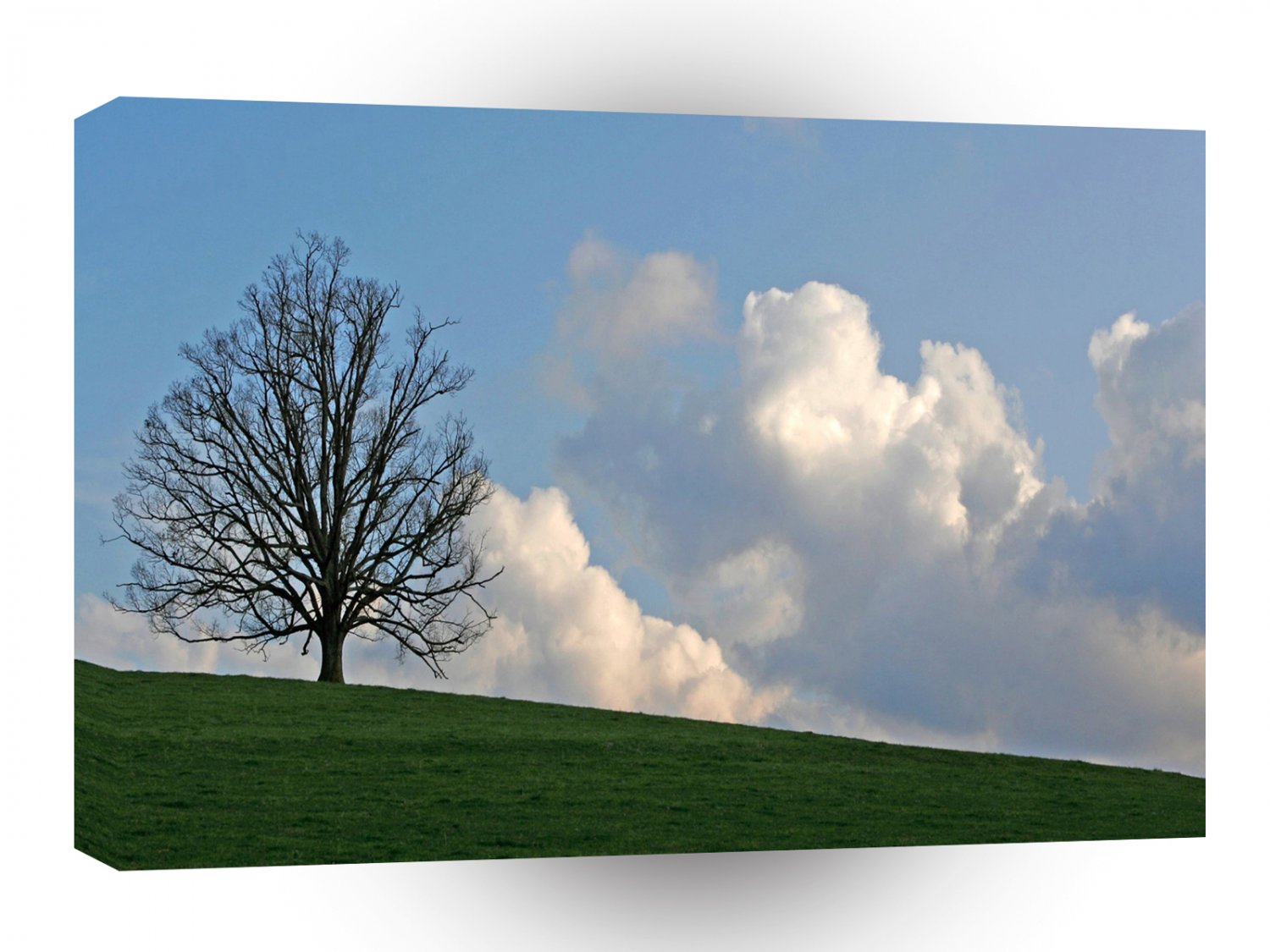 Sky One Tree Hill A1 XLarge Canvas
