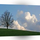 Sky One Tree Hill A1 XLarge Canvas