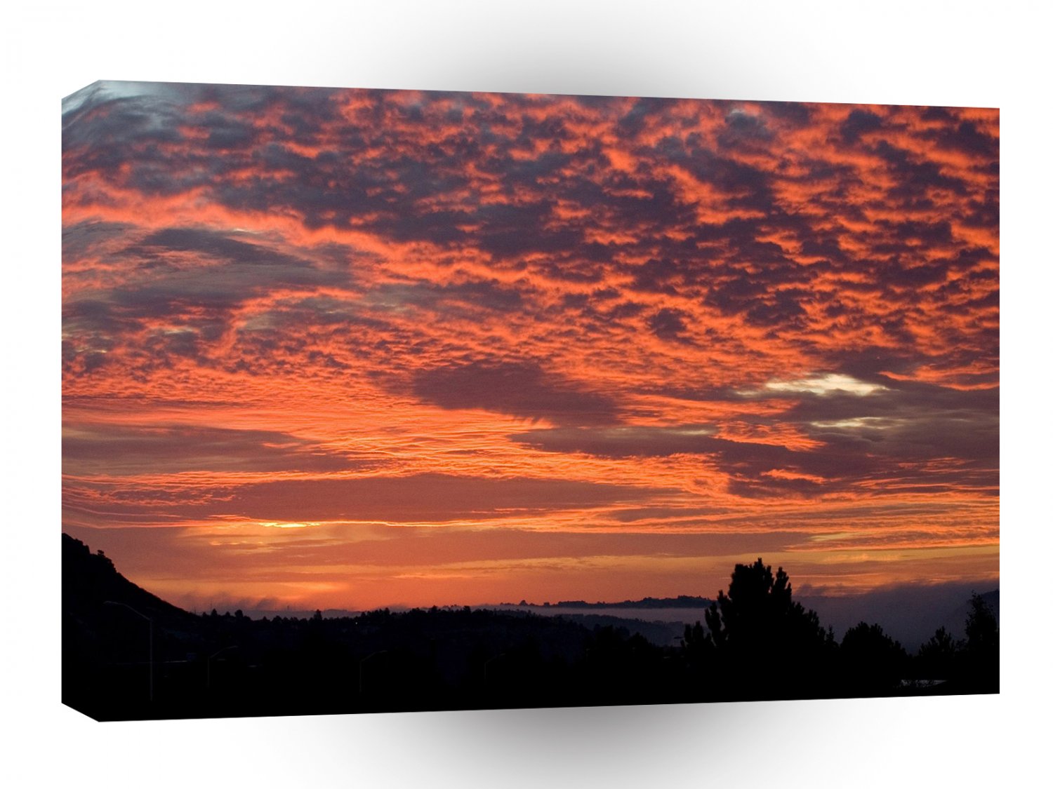 Sky Orange Fortune A1 XLarge Canvas