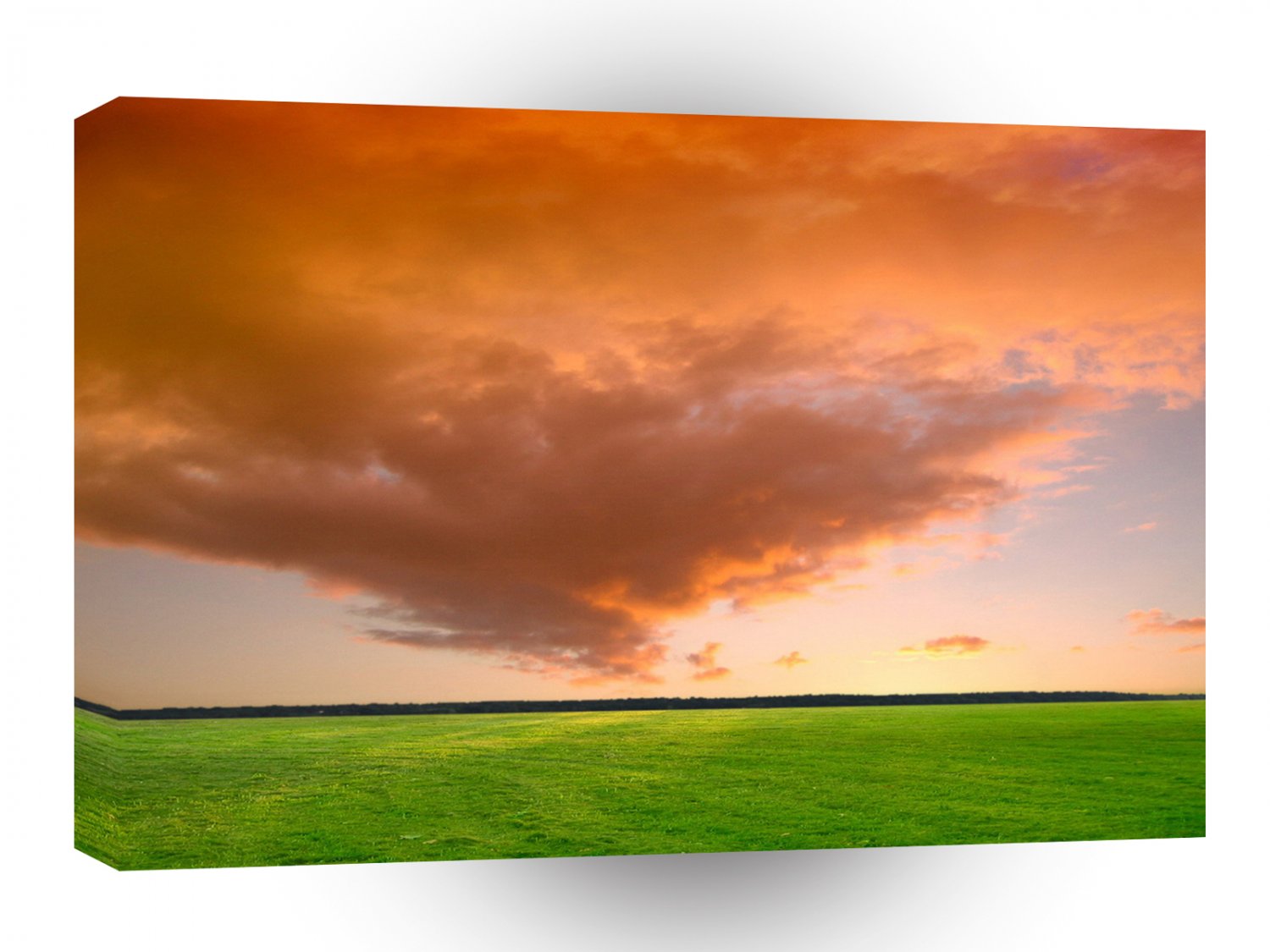 Sky Orange Nature A1 XLarge Canvas