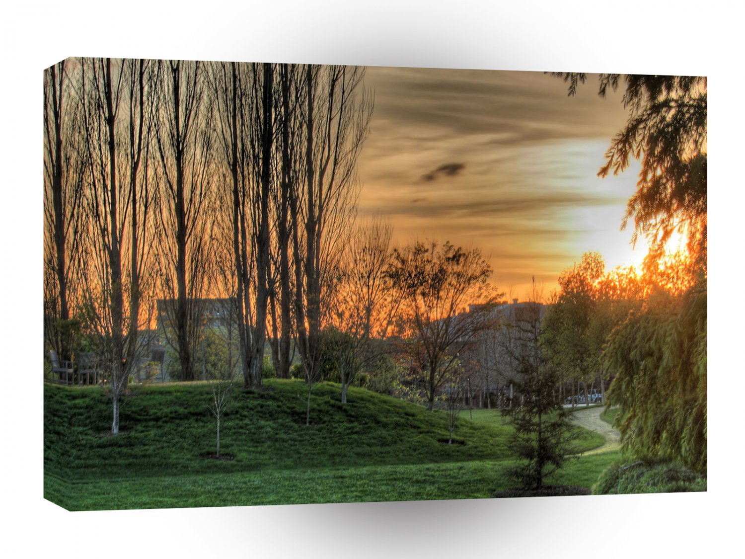 Sky Parkland Night A1 XLarge Canvas