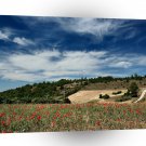 Sky Poppyfield Exposure A1 XLarge Canvas