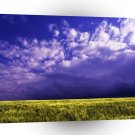 Sky Purple Gaze A1 XLarge Canvas