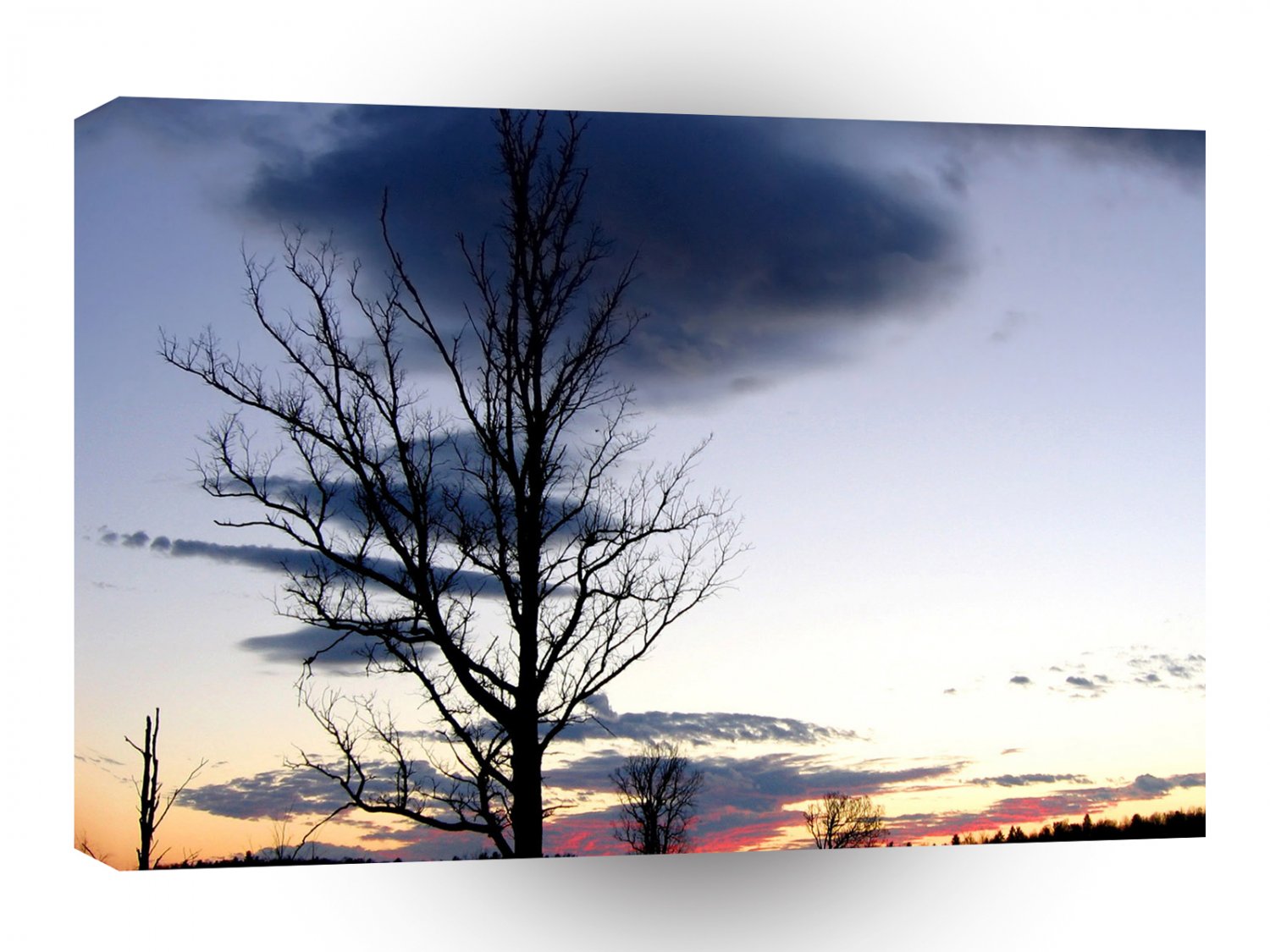 Sky Shepards Delight A1 XLarge Canvas