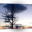 Sky Shepards Delight A1 XLarge Canvas