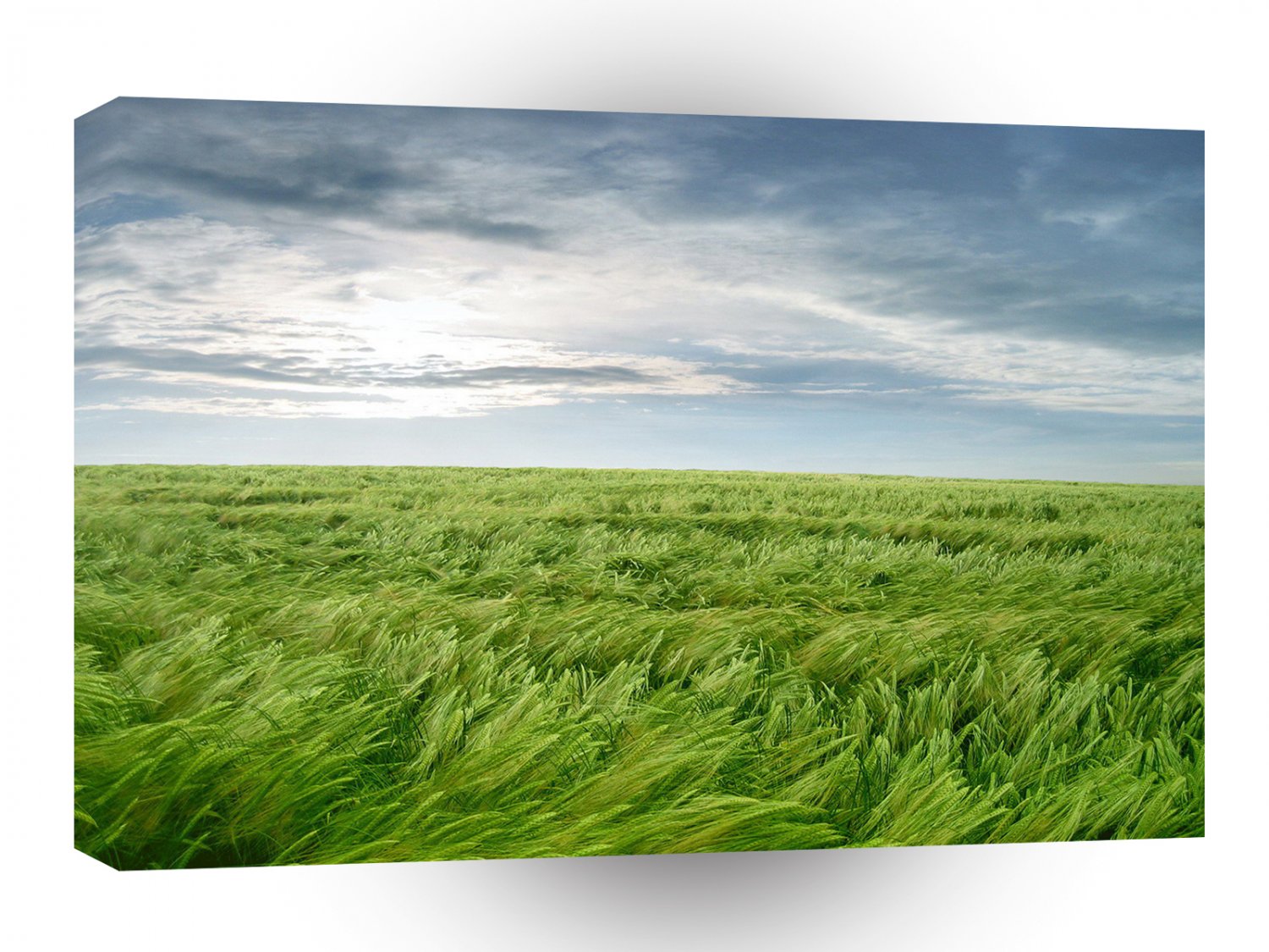 Sky Stormy Field A1 XLarge Canvas
