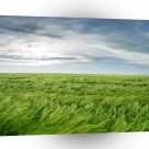 Sky Stormy Field A1 XLarge Canvas