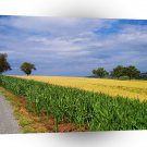 Sky Summer Fields A1 XLarge Canvas