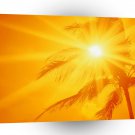 Sky Sunny Palm Hawaii A1 XLarge Canvas