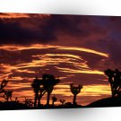 Sky Sunset Joshua Tree California A1 XLarge Canvas