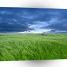 Sky The Wind Below A1 XLarge Canvas
