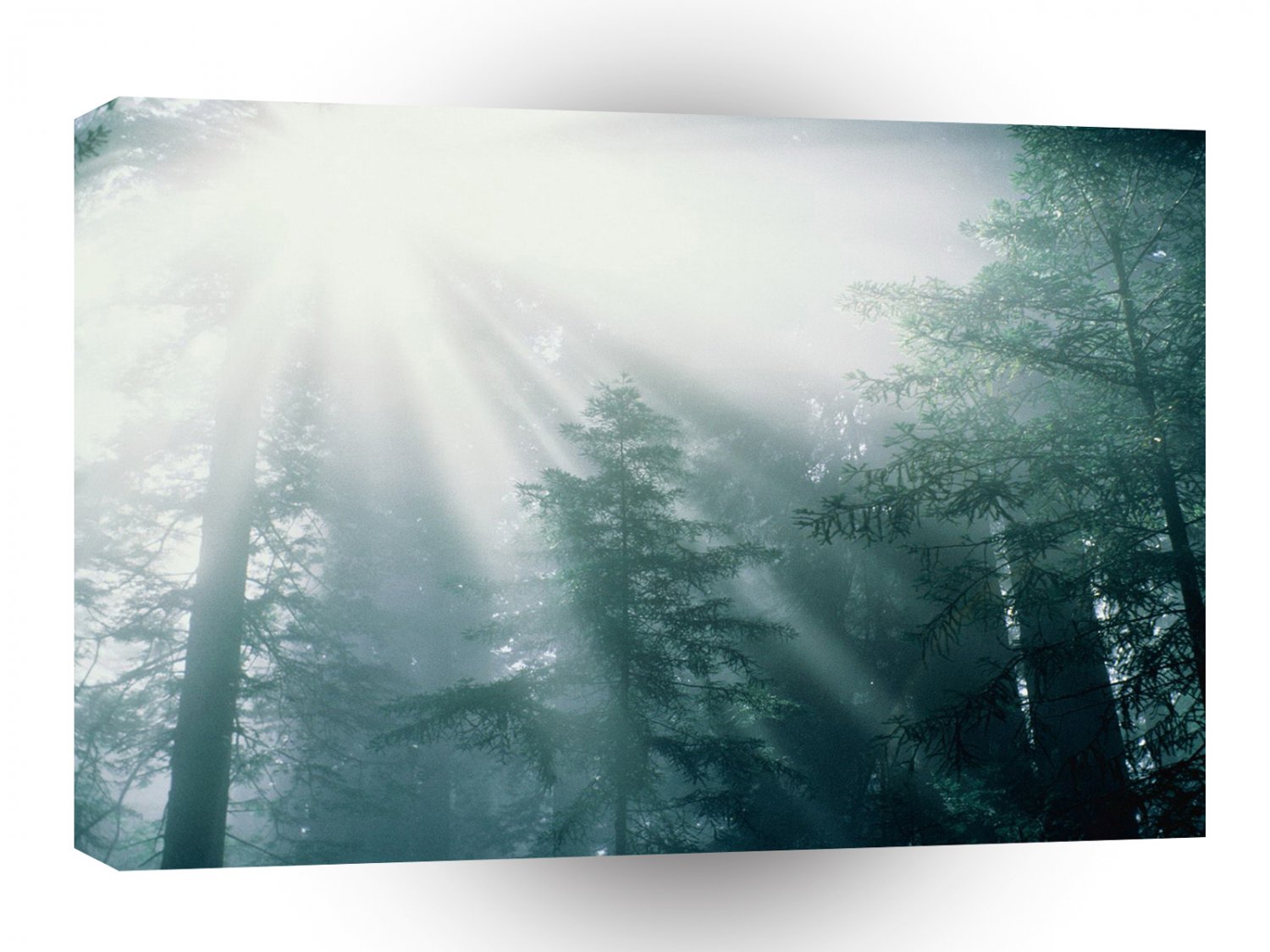 Sky Tranquility A1 XLarge Canvas