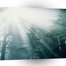 Sky Tranquility A1 XLarge Canvas