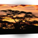 Sky Twilight Over Tanzania Africa A1 XLarge Canvas