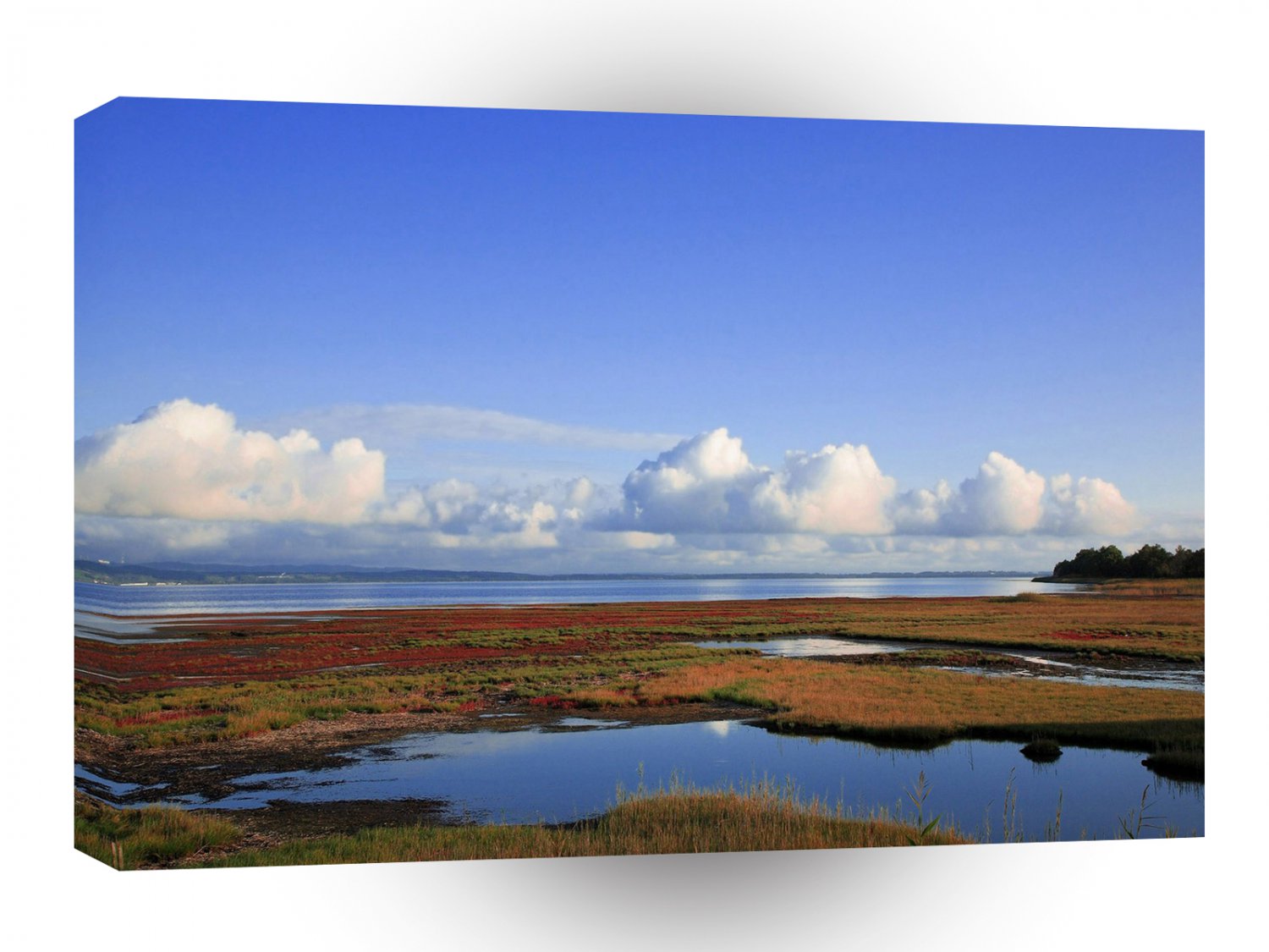 Sky Wide Expance A1 XLarge Canvas