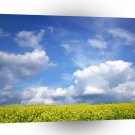 Sky Yellow Field A1 XLarge Canvas