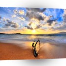 Sunrise Driftwood Beach A1 XLarge Canvas