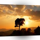 Sunrise Golden Sun Tree A1 XLarge Canvas