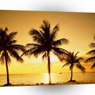 Sunrise Key Biscayne Near Miami Florida A1 XLarge Canvas