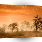 Sunrise Meadow Corvallis Oregon A1 XLarge Canvas