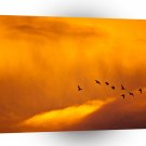 Sunrise Morning Flight A1 XLarge Canvas